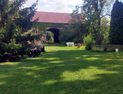 Kůň Ivan