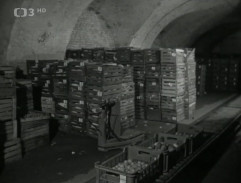 Uskladněná zeleniny