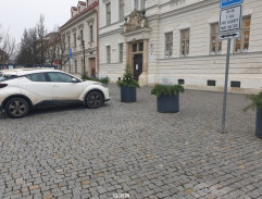 Sedím na větvi a je mi dobře