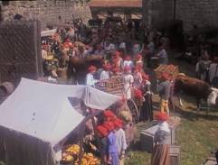 Ctiradovo kráľovstvo