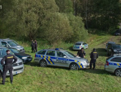 Pátrání po Amálce