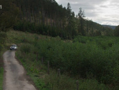 Pátrání po Amálce 2