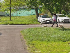 Výslech Lukáše Brychty