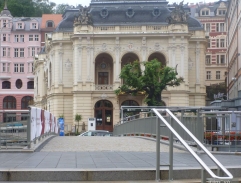 Buldoci a třešně