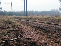 Mimořádná událost