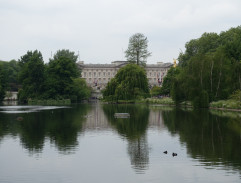 Před Buckingham palace