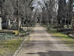 Starý hřbitov