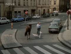 Neohlížej se, jde za námi kůň