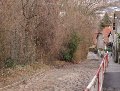 honička