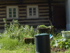 S03E11 Houbař