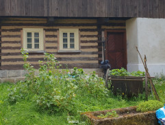 Roubenka