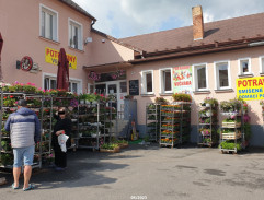 6. Peníze na střeše