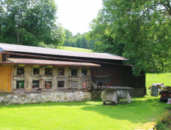 Holubník
