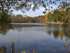 Černívský rybník