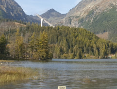 Pleso