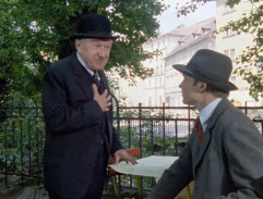 V zahradní restauraci