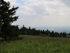 Lavina