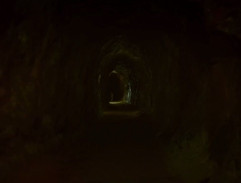 vlčica v podzemí