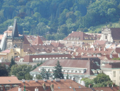 Prezidentka