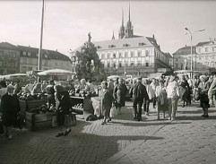 Zelný trh