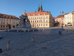 Zelný trh
