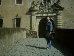 Kopretiny pro zámeckou paní