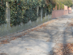 Kdopak by se vlka bál