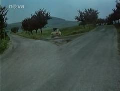 Pátek není svátek