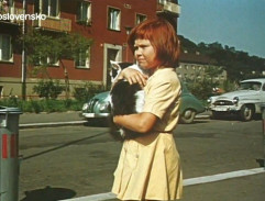 Když má svátek Dominika