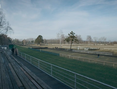 S02E12 Divoký kůň