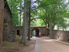 Pronásledování psa Ludvíka