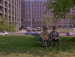 Nástrahy velkoměsta 