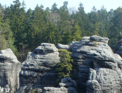 Skála