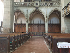 Organ