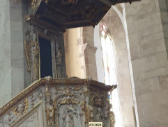 Organ