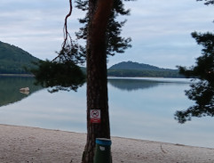 Máchovo jezero