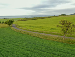 Cesta domů