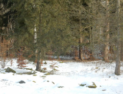 Od vraždy jenom krok ke lži