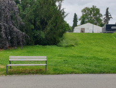 Dívka v parku 2