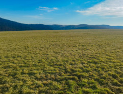 Planina