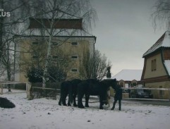 14. Manželství nebo život