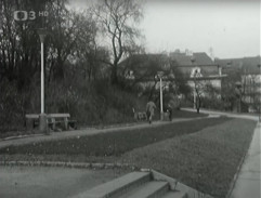Úsměvy kol čtyř kol