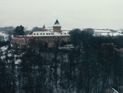 Bílé ptáče