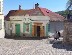 Bílé ptáče