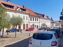 Bílé ptáče
