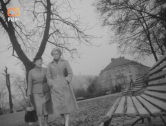 Taková láska