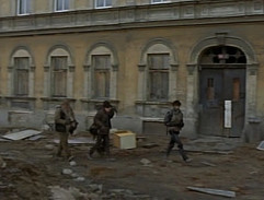 Harrisonovy květy