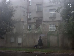 Dům