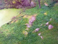 Mrtvý Markvart z Vartemberka