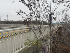 Útěk před security IV